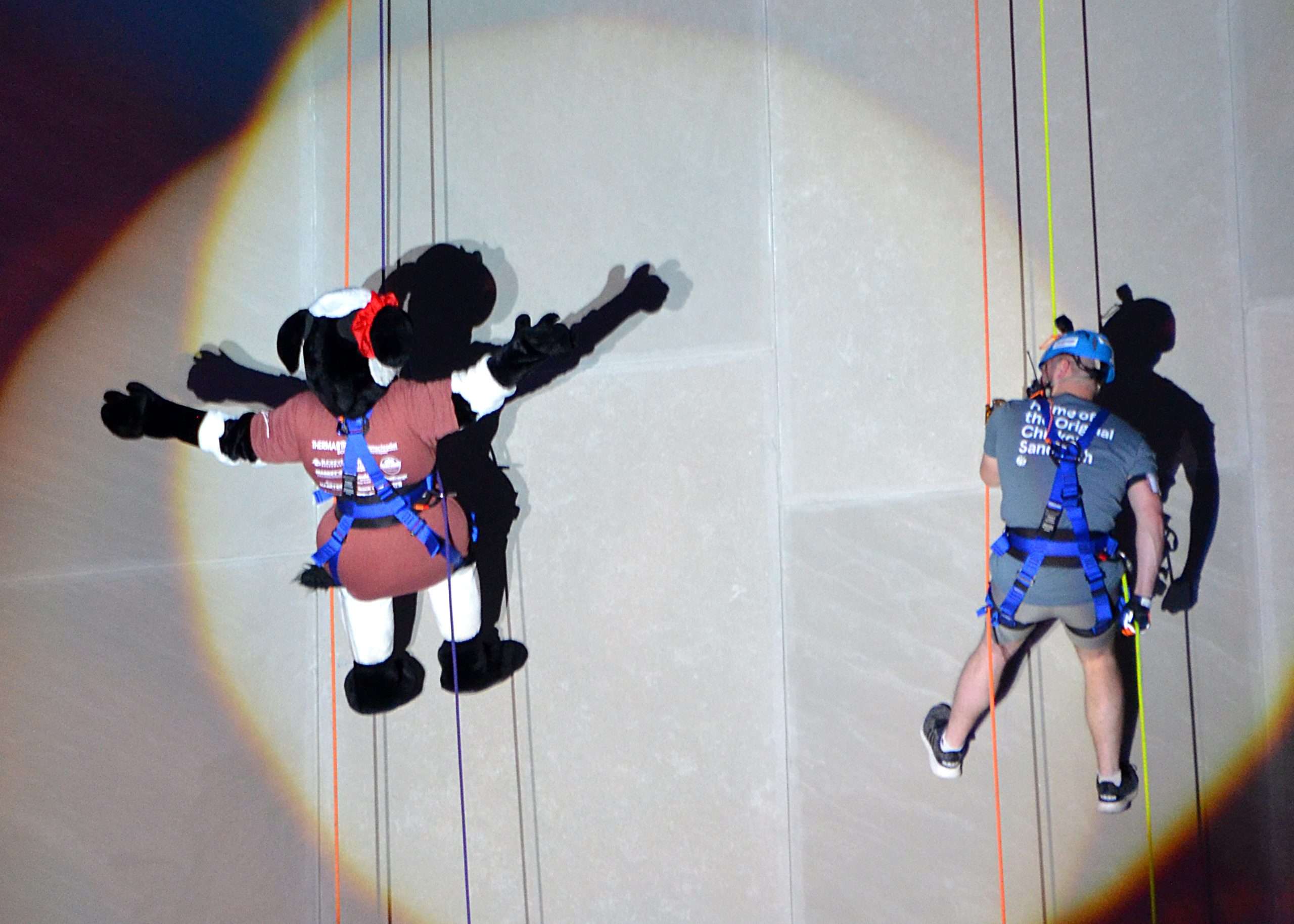 Two people in harnesses rappelling down a wall, one in costume.